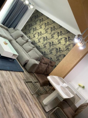 Gray Tomis Apartament